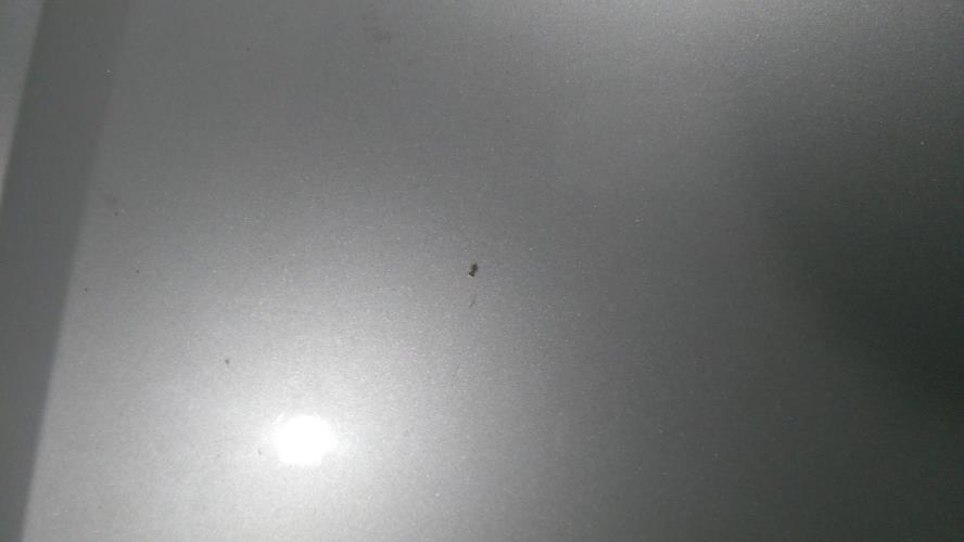 Photo de la pièce