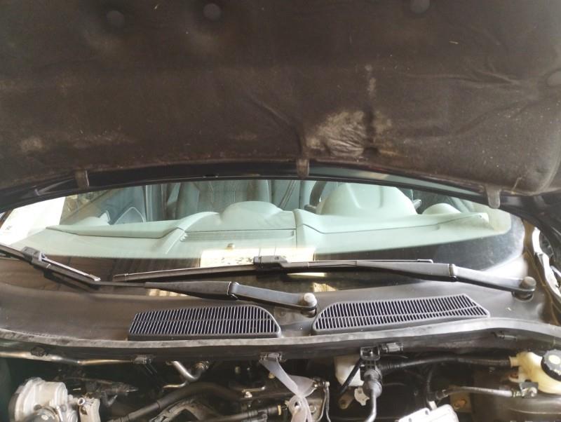 Braccio tergicristallo anteriore FORD FIESTA 6 PHASE 1 Diésel - 1