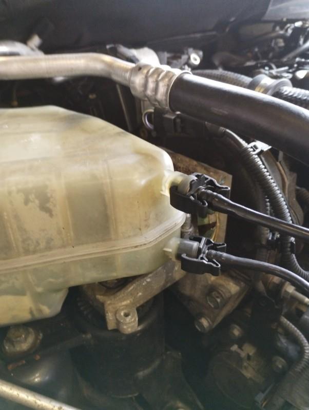 Vaso di espansione FORD FIESTA 6 PHASE 1 Diésel - 1