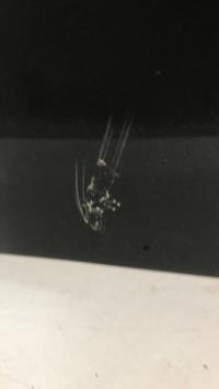 Photo de la pièce