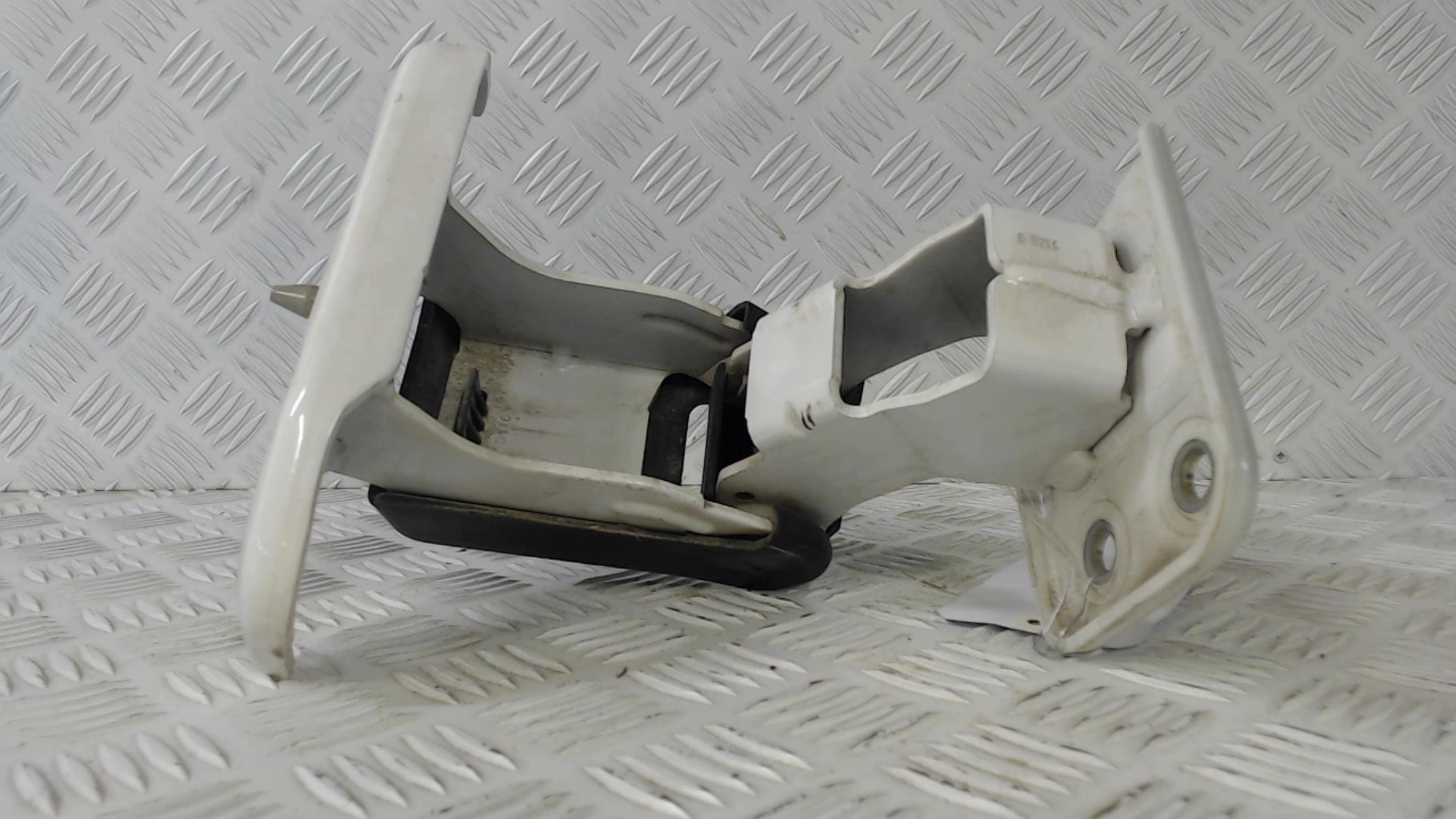 Cerniera porta bagagliaio sinistra PEUGEOT EXPERT 3 Diésel - 1
