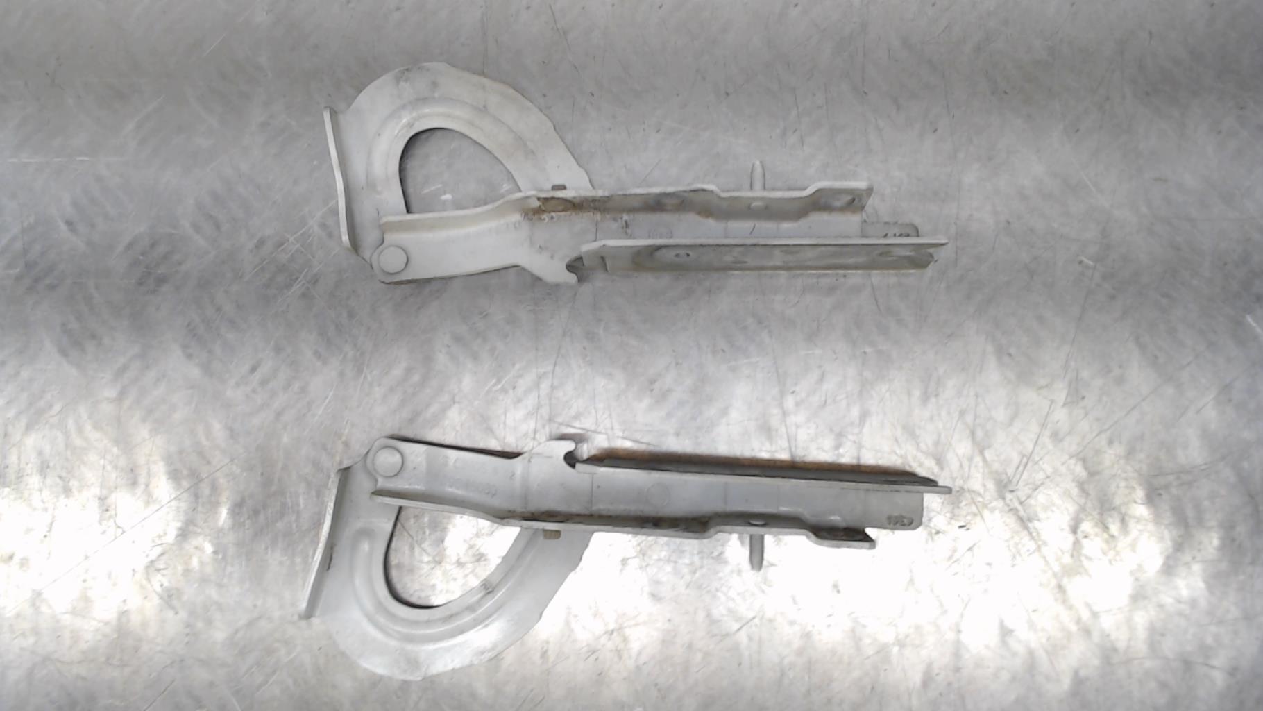 Charniere de capot PEUGEOT EXPERT 3 Diesel - 1