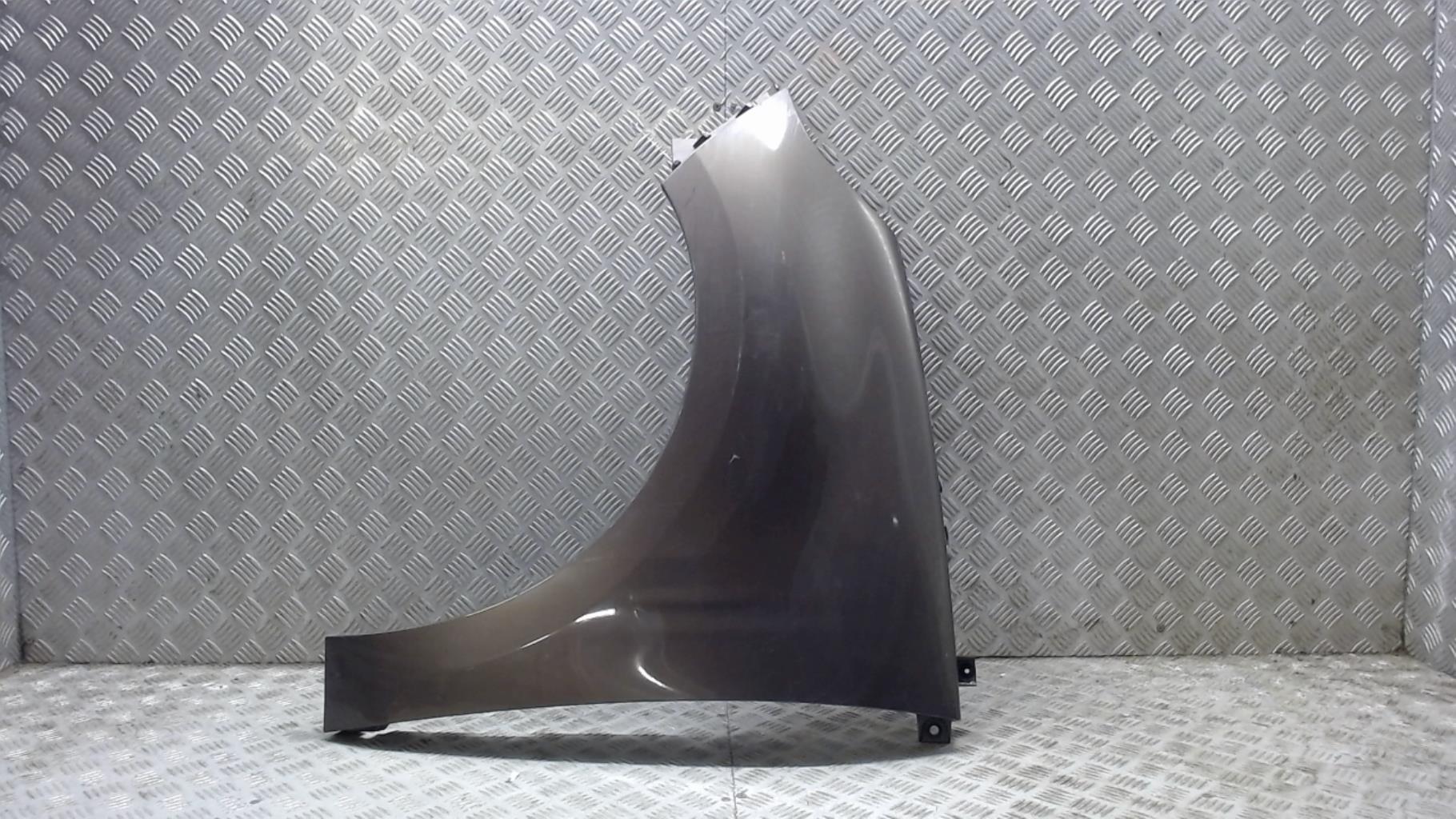 Parafango anteriore sinistro RENAULT GRAND SCENIC 3 PHASE 1 Diésel - 1