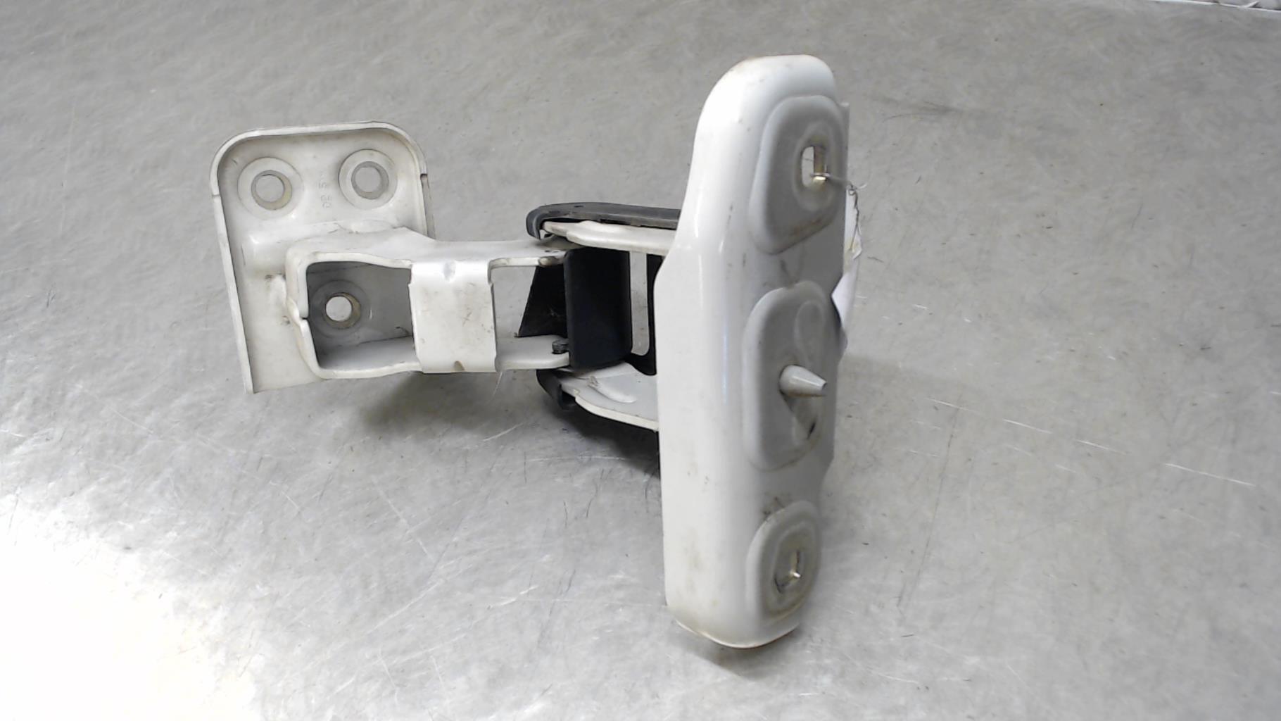 Cerniera porta bagagliaio sinistra PEUGEOT EXPERT 2 Diésel - 1