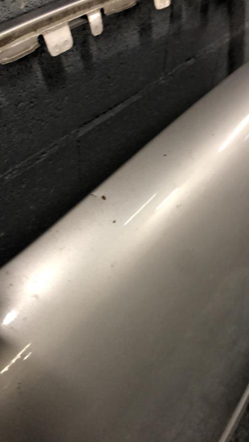 Photo de la pièce