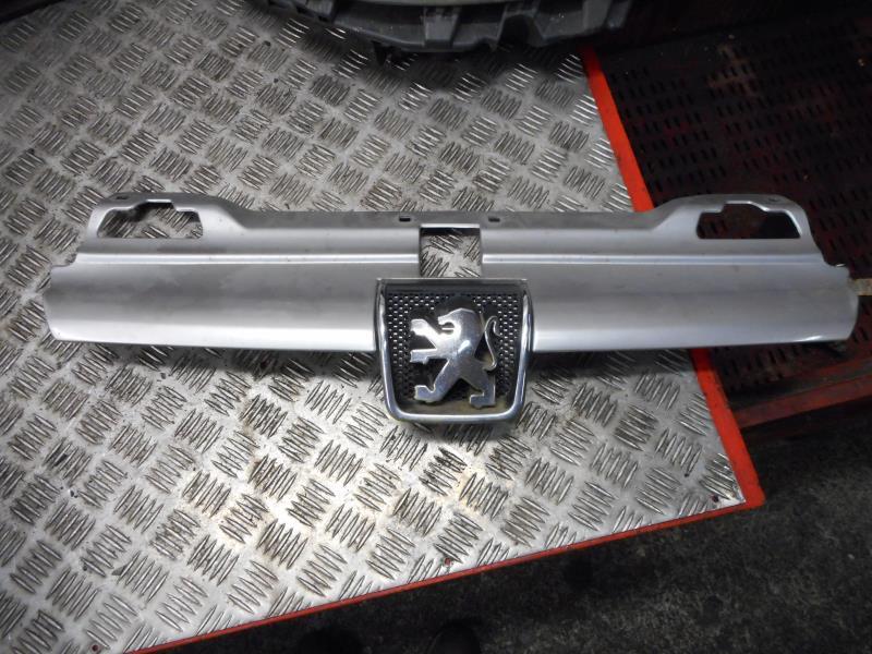 Calandre PEUGEOT 406 PHASE 1 Diesel - 1