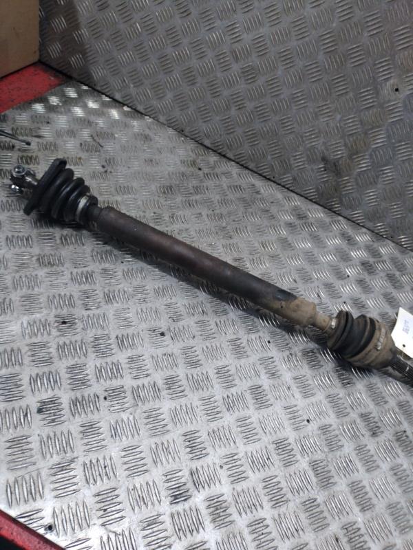 Giunto cardanico albero di trasmissione destro SEAT TERRA Gasolina - 1