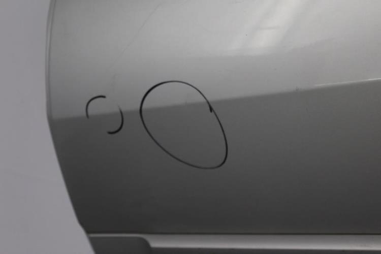 Image Porte arriere gauche - RENAULT MEGANE 2