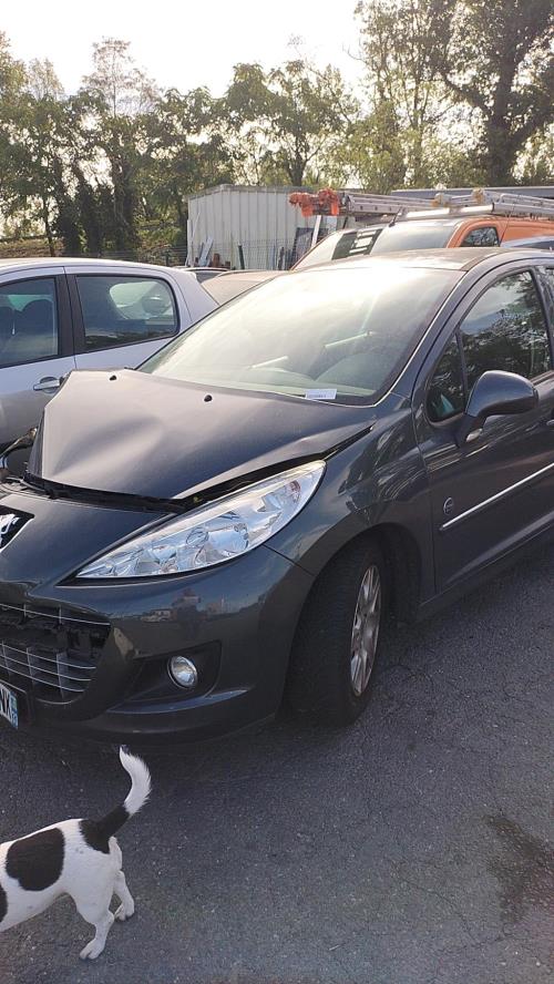 Image Boitier BSI - PEUGEOT 207+