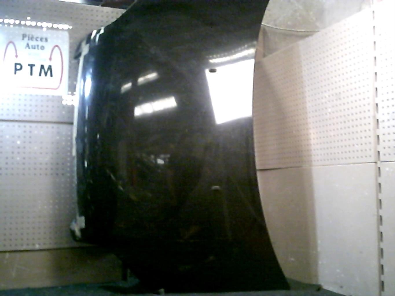 Capot FORD FUSION PHASE 2 Diesel - 1