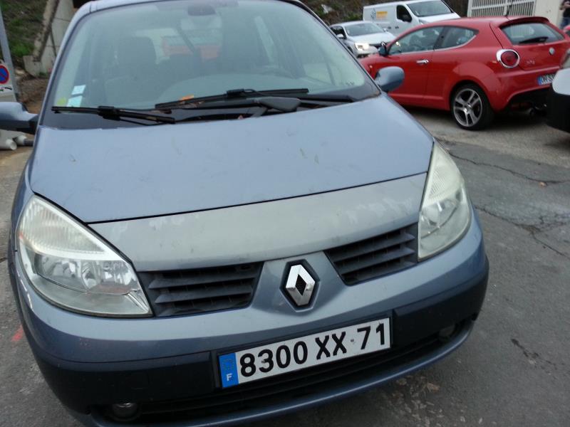 Capot RENAULT GRAND SCENIC 2 PHASE 1 Diesel - 1