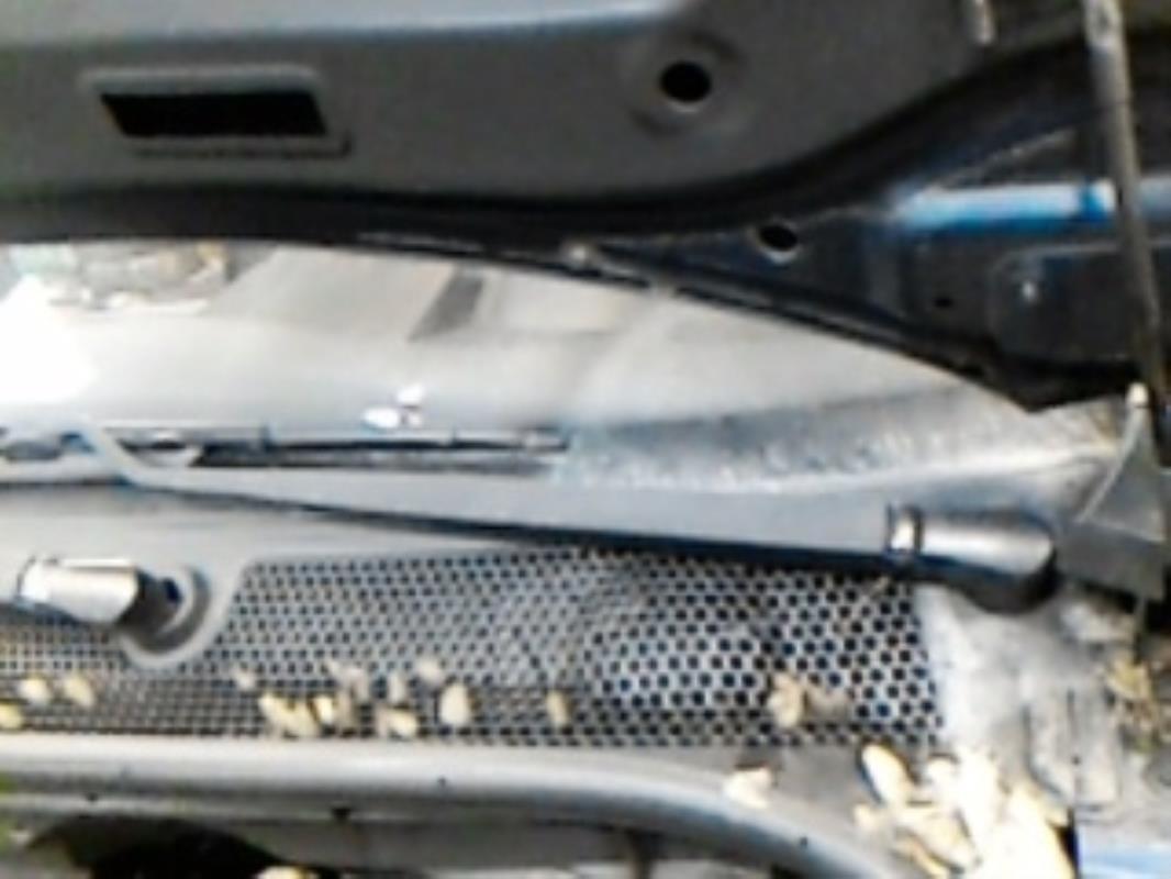 Braccio tergicristallo anteriore sinistro PEUGEOT 1007 Diésel - 1