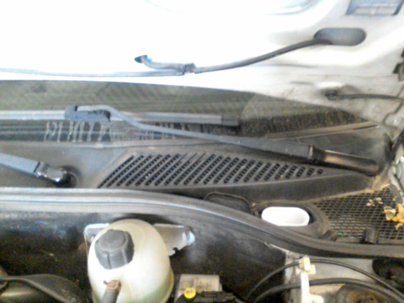 Braccio tergicristallo anteriore sinistro RENAULT CLIO 2 CAMPUS PHASE 1 Diésel - 1