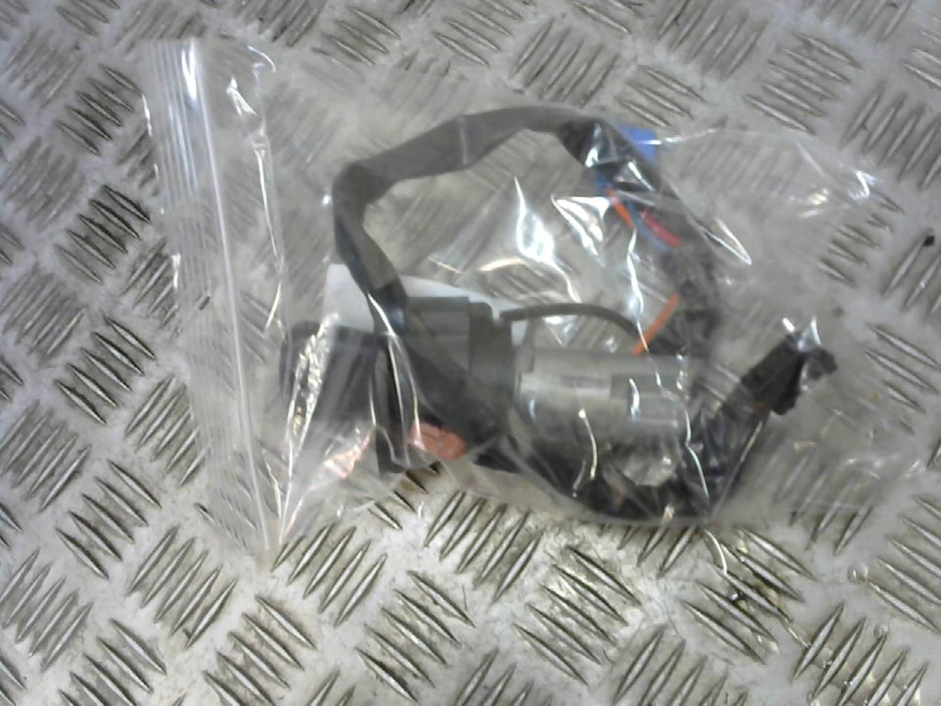 Immobilizzatore PEUGEOT 206+ Gasolina - 1