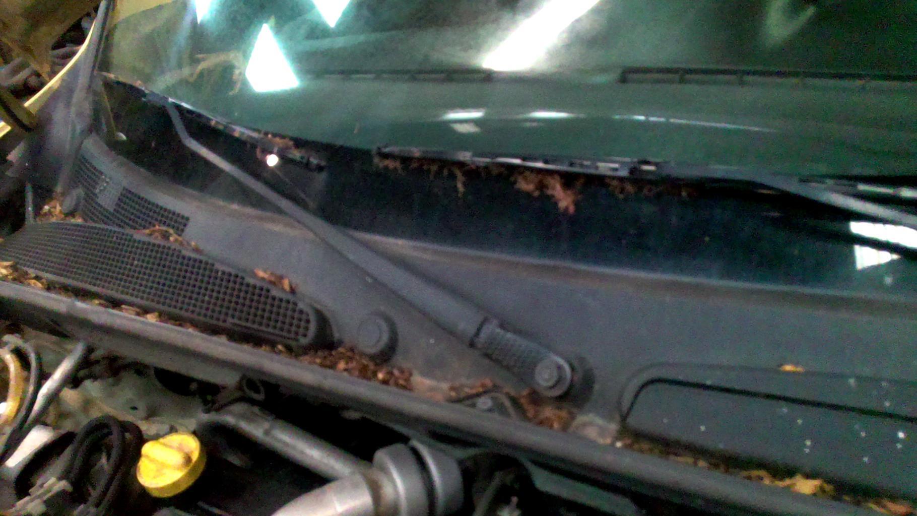Braccio tergicristallo anteriore destro RENAULT KANGOO 2 PHASE 1 Diésel - 1
