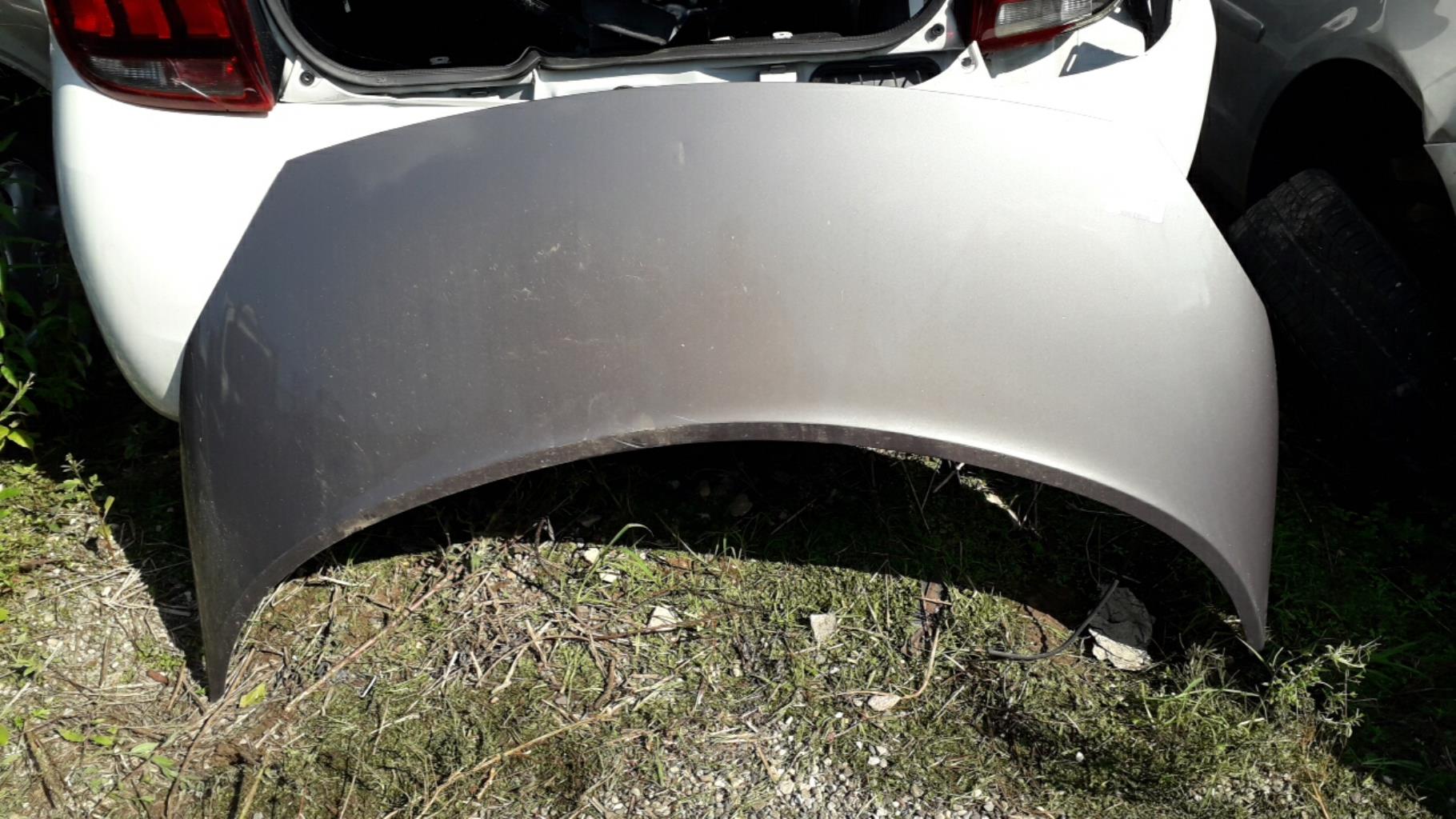 Capot RENAULT SCENIC 2 PHASE 1 Diesel - 1
