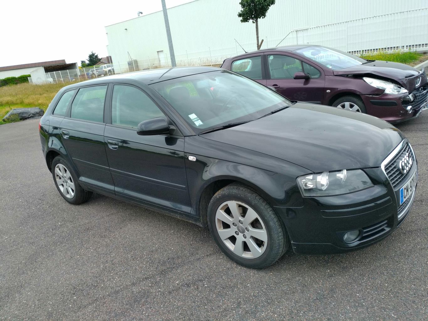 Molla a gas bagagliaio AUDI A3 2 SPORTBACK PHASE 1 Diésel - 1