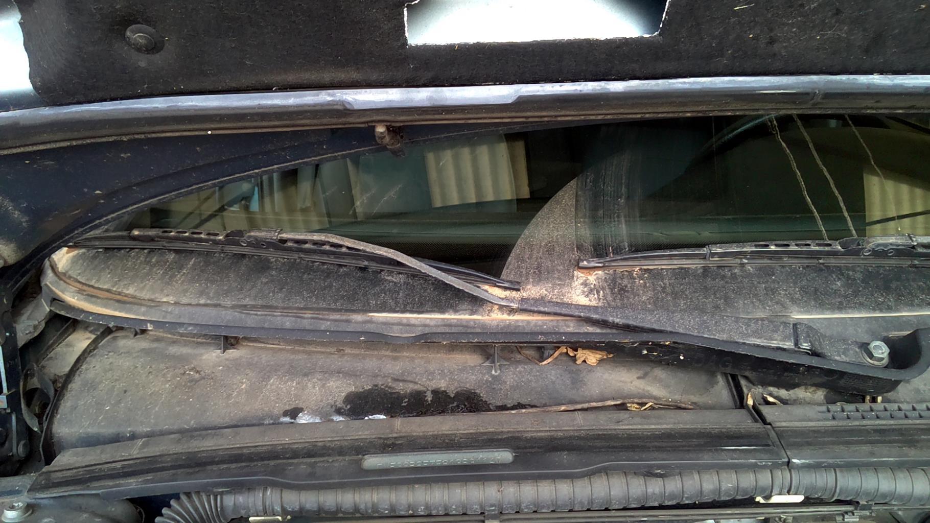 Braccio tergicristallo anteriore destro PEUGEOT 406 PHASE 2 Gasolina - 1