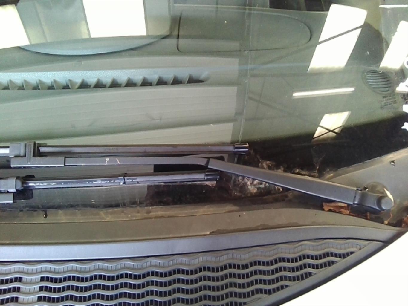 Braccio tergicristallo anteriore sinistro RENAULT MODUS PHASE 1 Diésel - 1