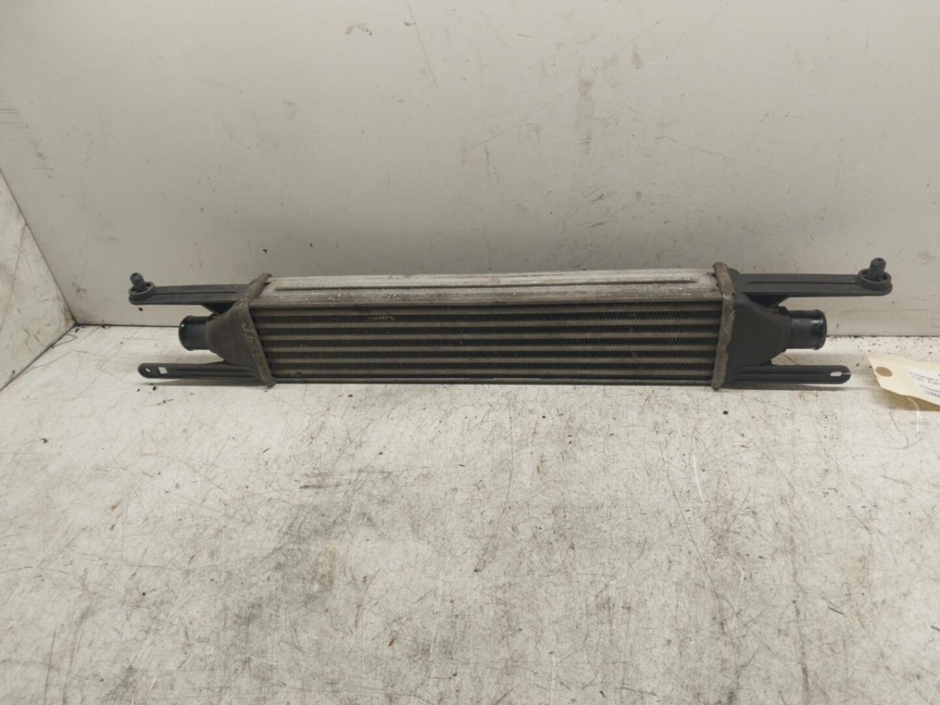 Scambiatore aria (Intercooler) FIAT PUNTO EVO 3  - 1