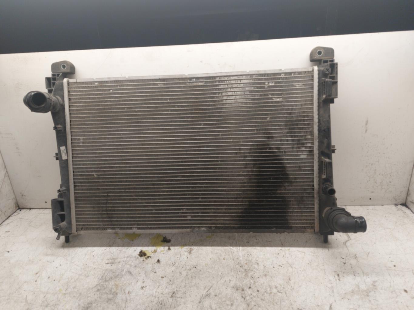 Radiatore acqua FIAT PUNTO EVO 3  - 1