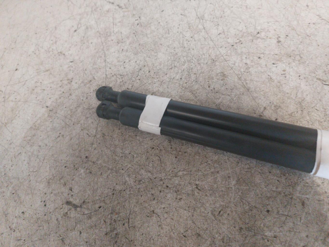 Molla a gas bagagliaio RENAULT CLIO 4 PHASE 2  - 1