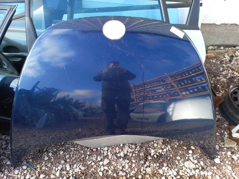 Capot VOLKSWAGEN NEW BEETLE 1 PHASE 1 Diesel - 1