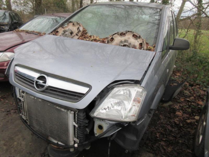 Capot OPEL MERIVA A PHASE 2 Essence/GPL - 1