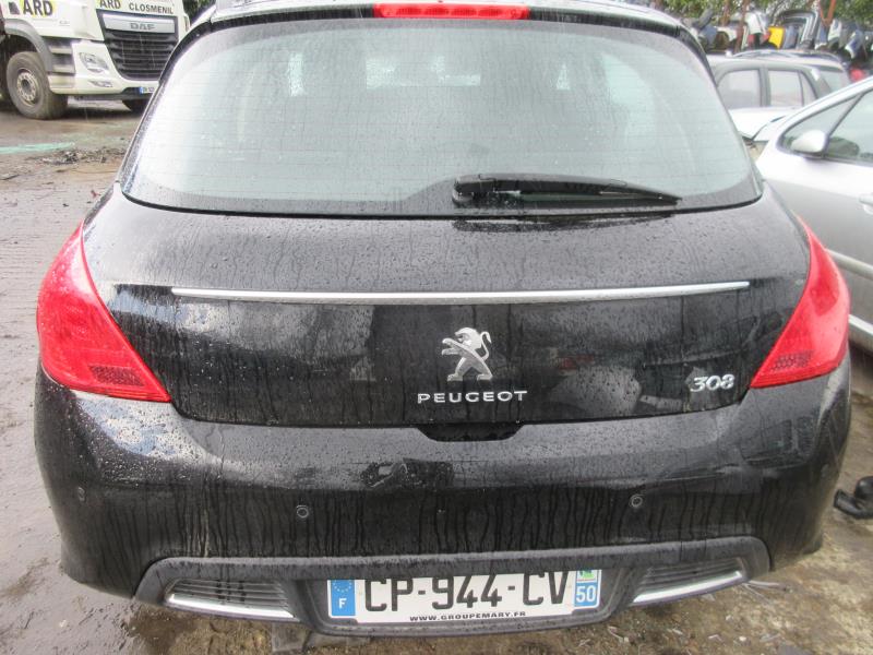 Buse PEUGEOT 308 1 PHASE 2 Diesel - 1