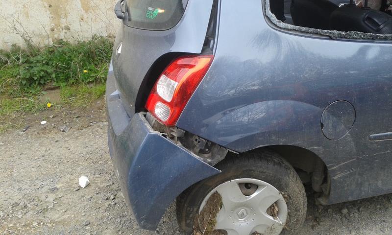 Pompe de gavage RENAULT TWINGO 2 PHASE 1  - 1