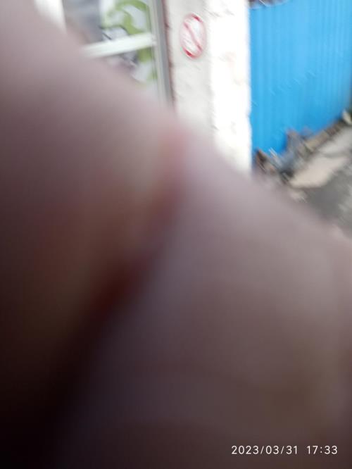Photo de la pièce