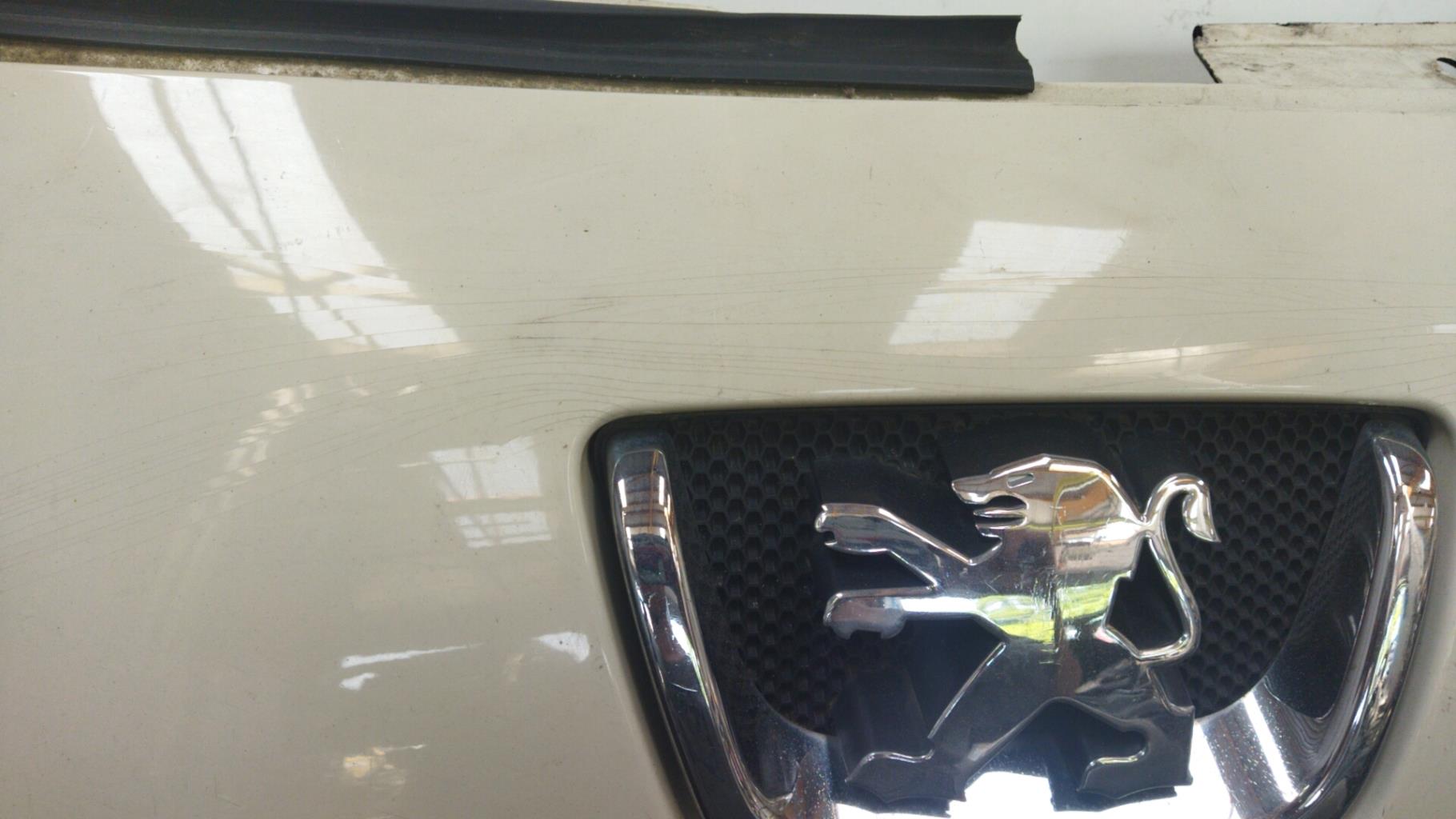Calandre PEUGEOT 1007 Diesel - 1