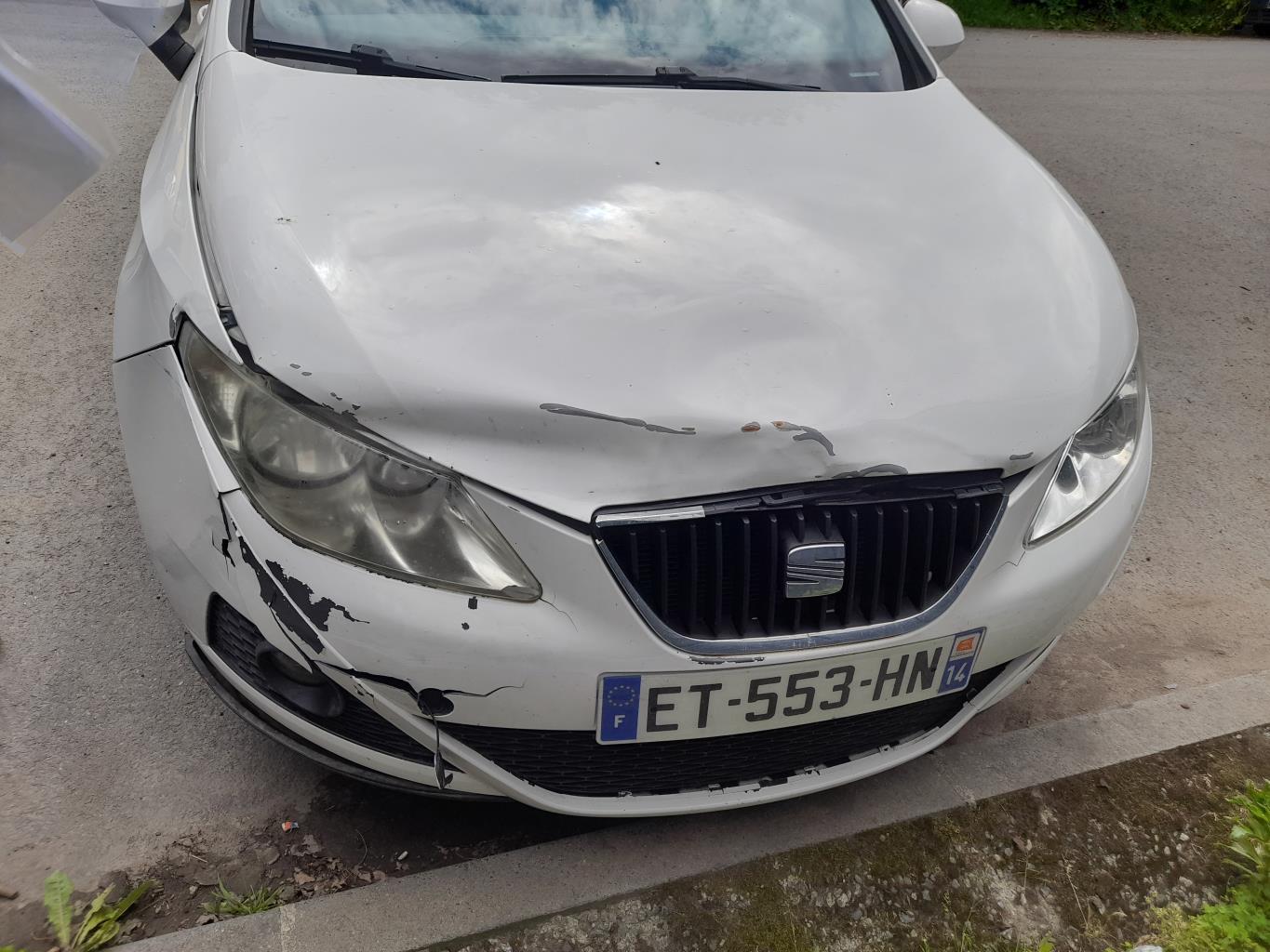 Ventilateur eau SEAT IBIZA 4 PHASE 1 Diesel - 1
