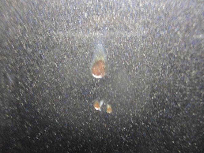 Photo de la pièce