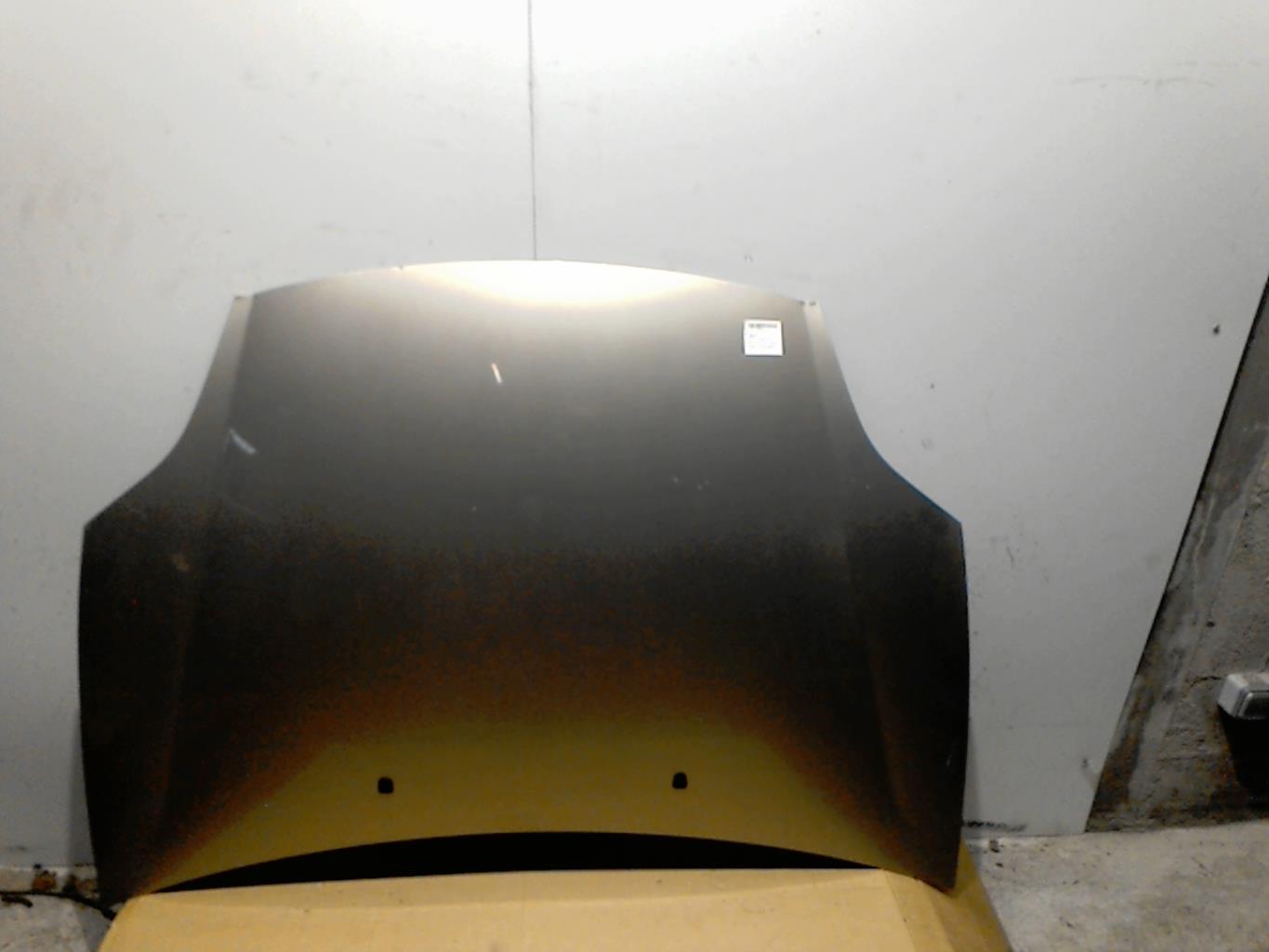 Capot - FIAT BRAVO 2
