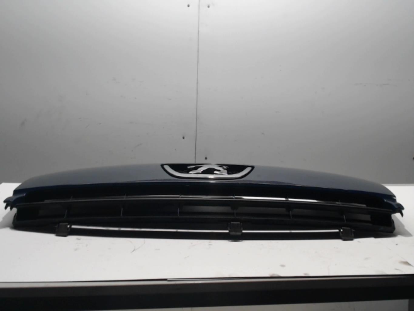 Calandre - PEUGEOT EXPERT 2