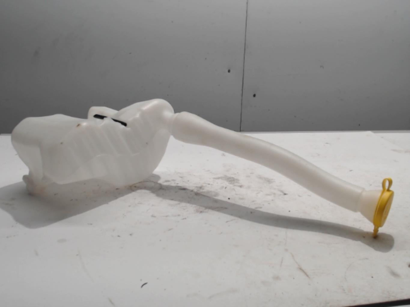 Vase de lave glace RENAULT MASTER 3  - 1