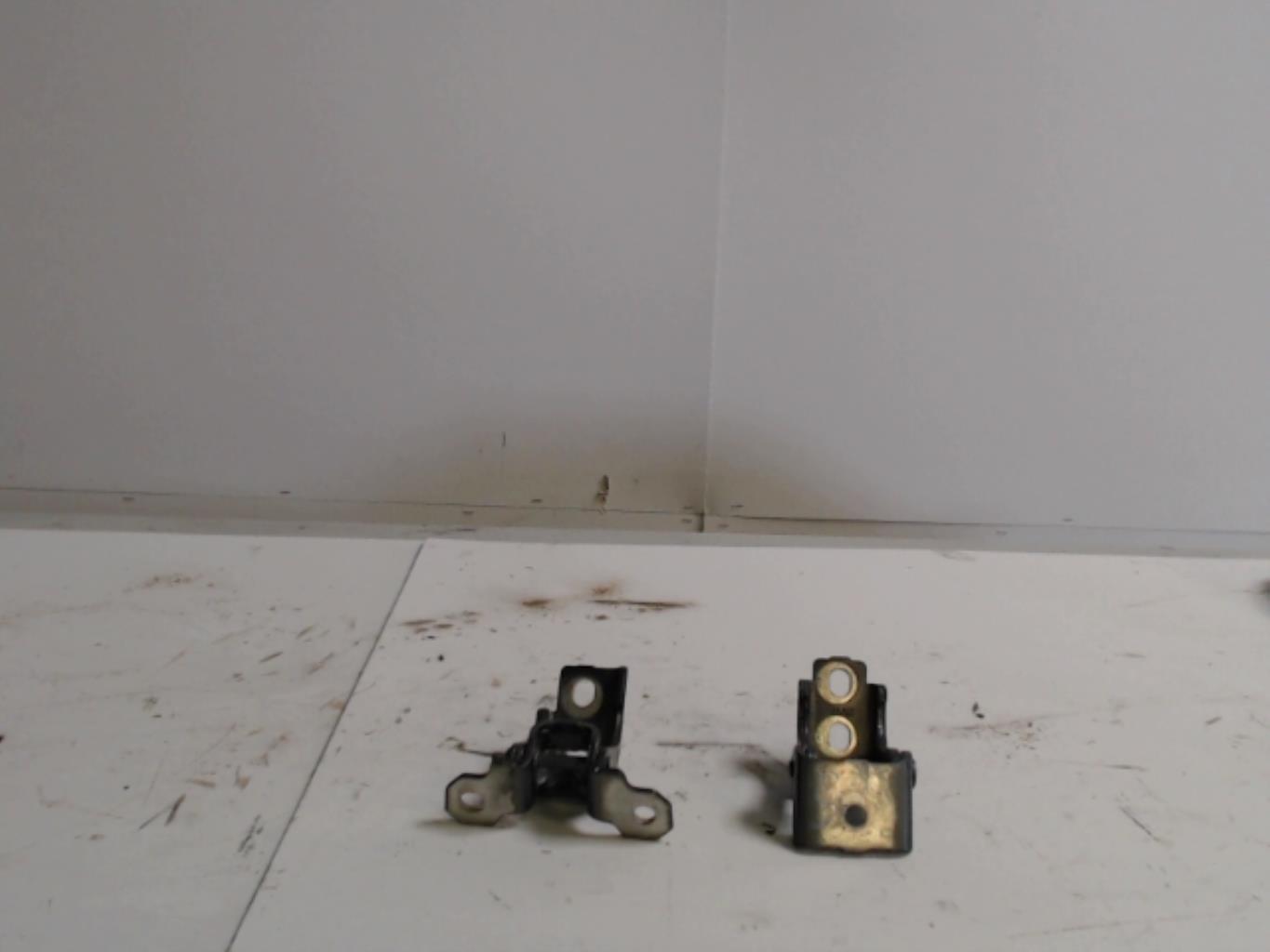 Charniere de porte avant gauche RENAULT CLIO 4 Essence - 1