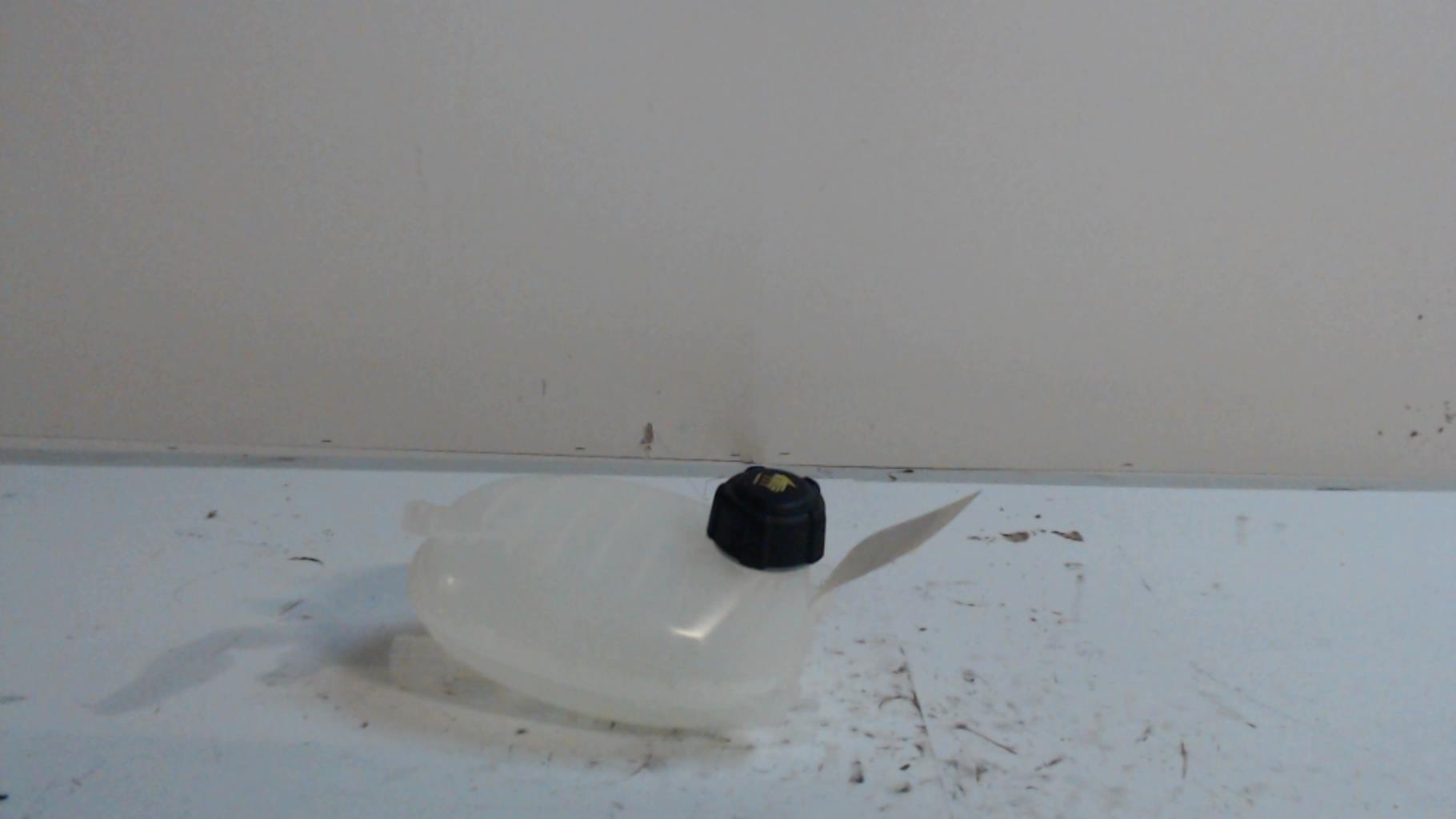 Vase d'expansion RENAULT CLIO 5  - 1
