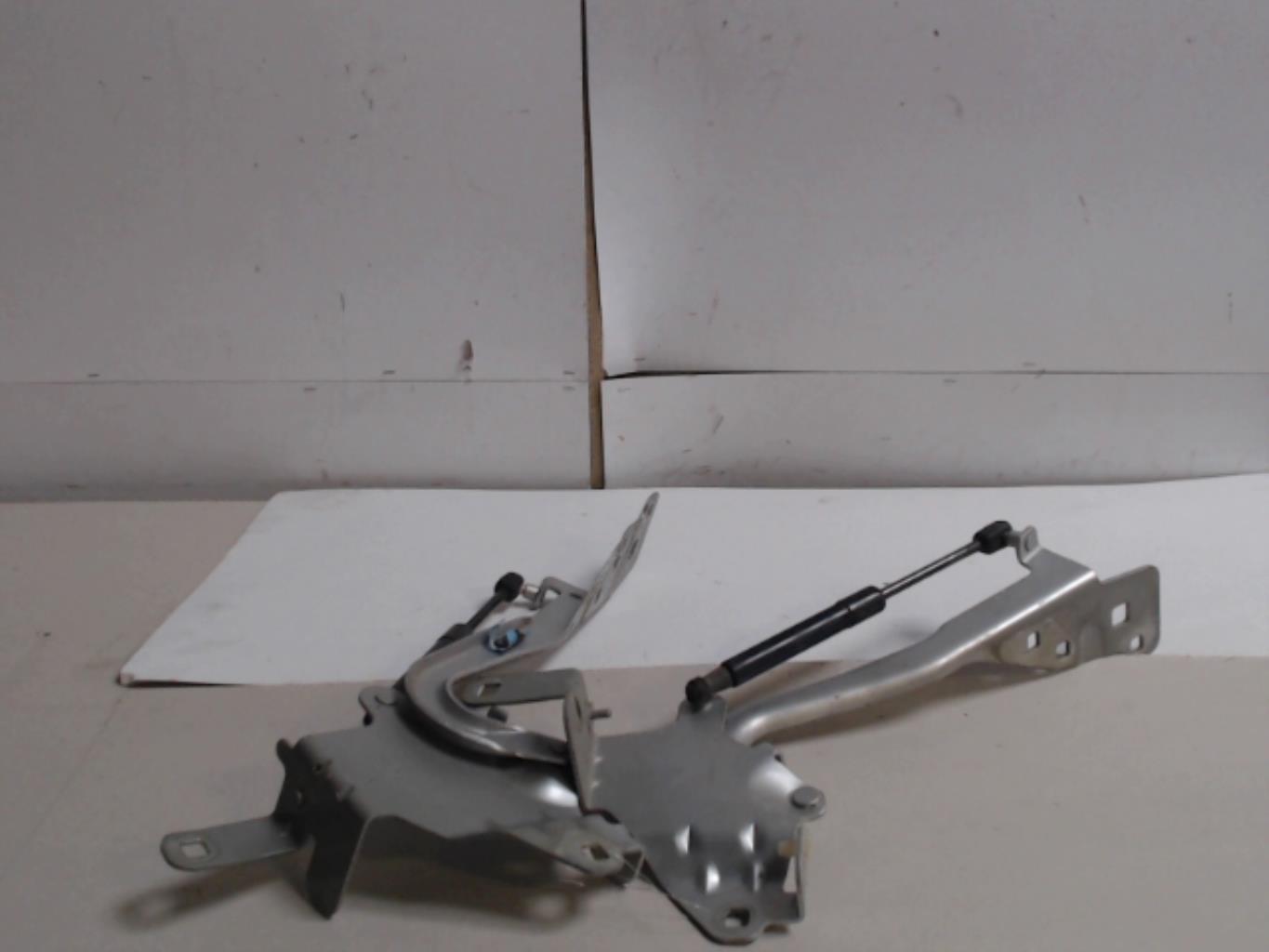 Charniere de capot RENAULT SCENIC 3 PHASE 2 Diesel - 1