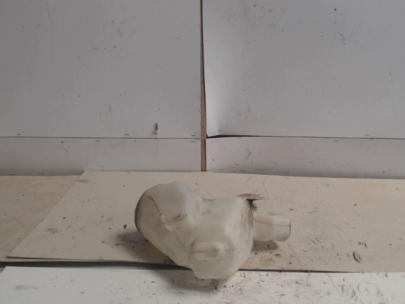 Vase de lave glace CITROEN C3 2 PHASE 2 Diesel - 1