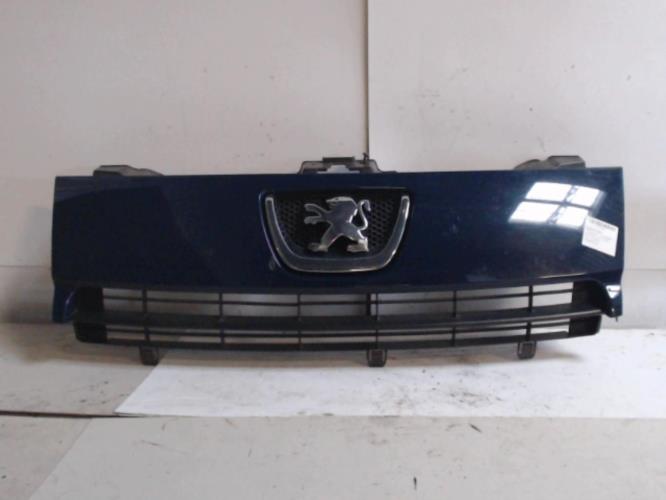 Calandre - PEUGEOT EXPERT 2