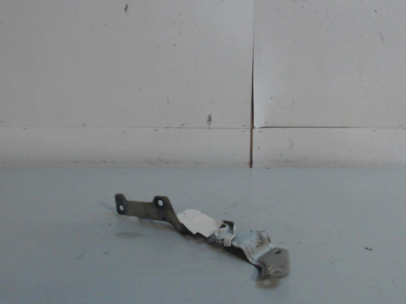 Charniere de capot RENAULT CLIO 3 PHASE 2 Diesel - 1