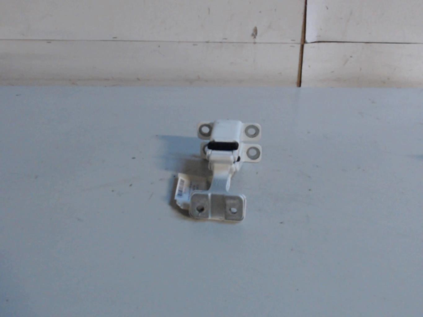 Charniere de porte de coffre gauche RENAULT KANGOO 2 PHASE 2  - 1