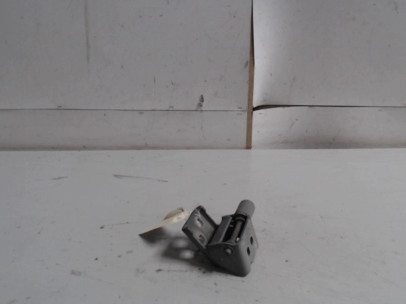 Arret de porte avant gauche RENAULT CLIO 3 PHASE 2 Diesel - 1