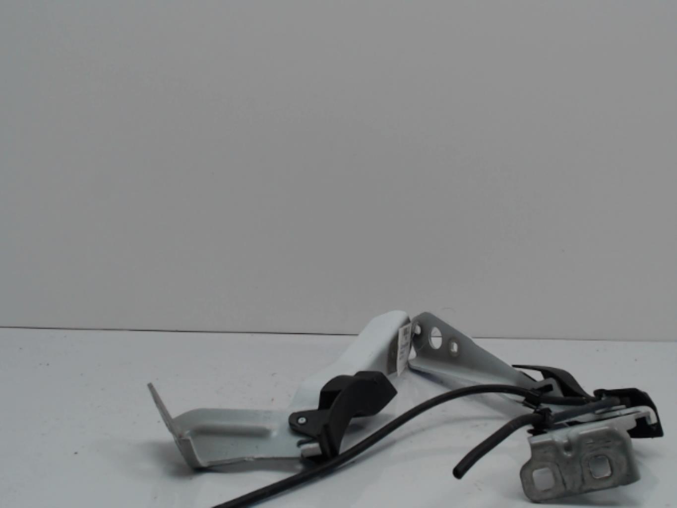 Charniere de capot RENAULT MASTER 3 PHASE 2  - 1
