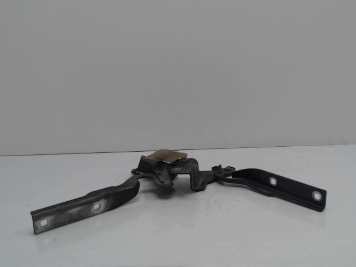 Charniere de capot VOLKSWAGEN PASSAT 5  - 1