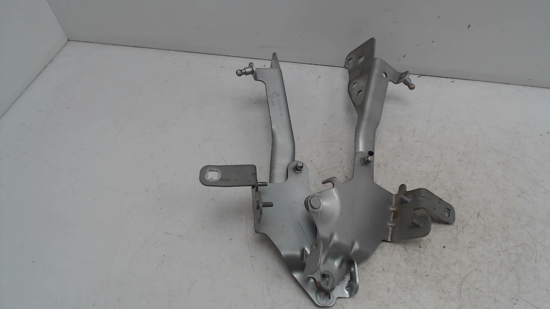Charniere de capot RENAULT SCENIC 3 PHASE 1 Diesel - 1