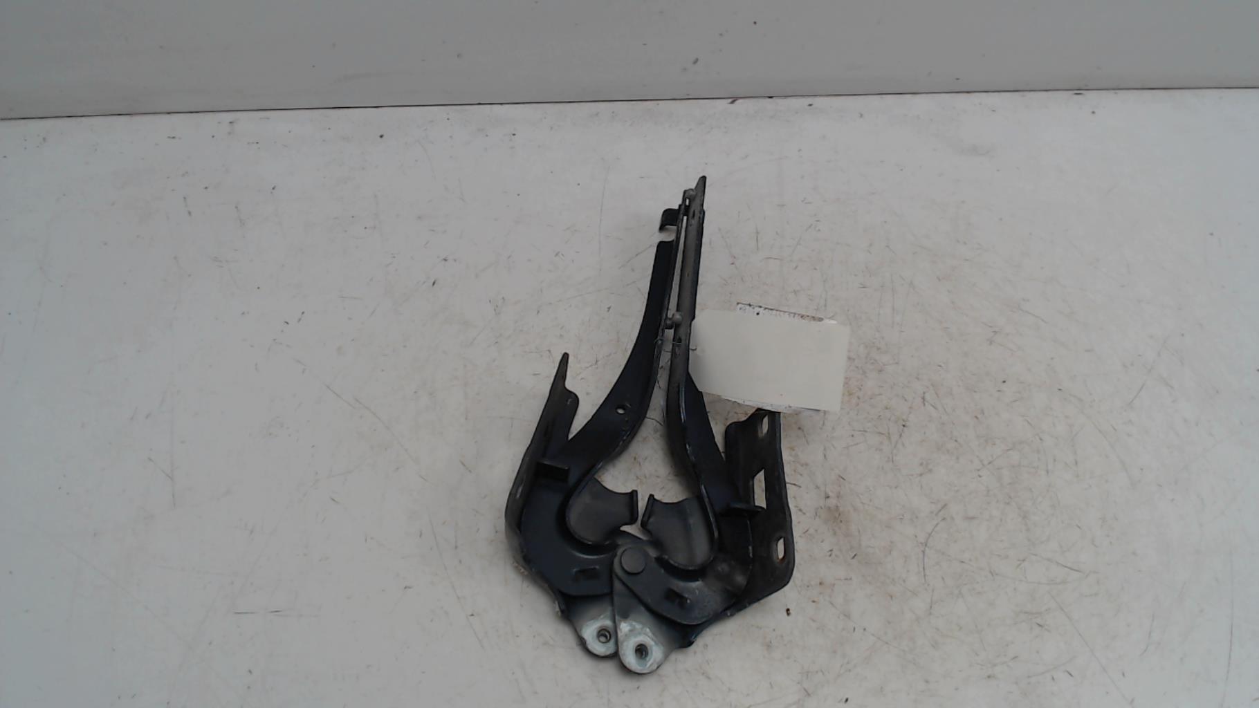 Charniere de capot PEUGEOT 508 1 PHASE 1 Diesel - 1