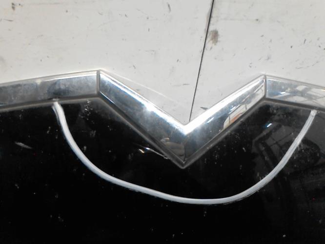 Capot - CITROEN C4 PICASSO 1